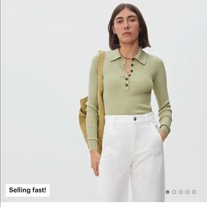 Everlane Merino Long-Sleeved Polo - Sage